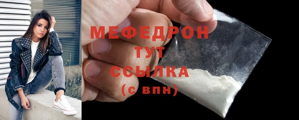 шишки Няндома