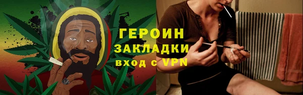 прущие грибы Осташков