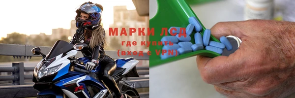 прущие грибы Осташков