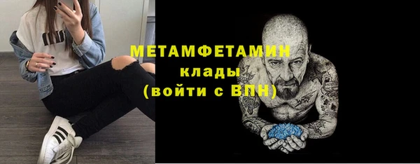 прущие грибы Осташков