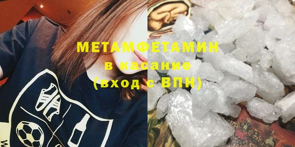 прущие грибы Осташков