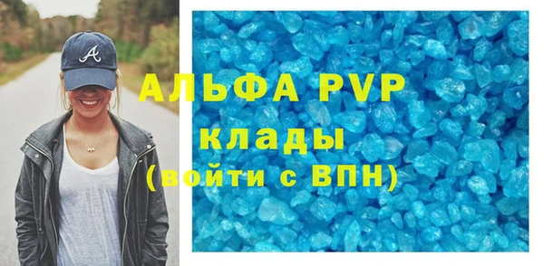 прущие грибы Осташков