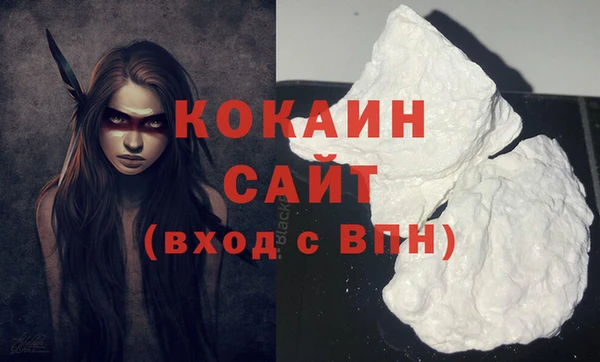 прущие грибы Осташков