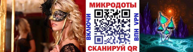 Купить где  Конаково  Галлюциногенные грибы Psilocybine cubensis 